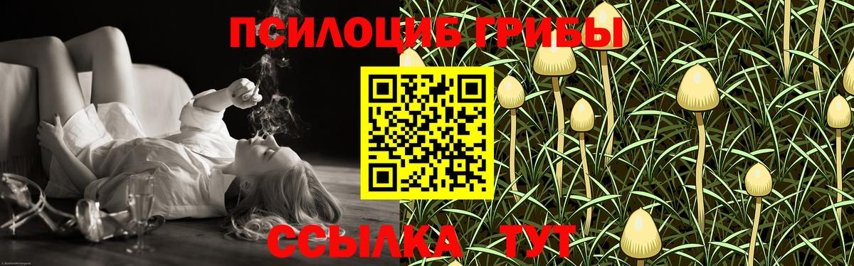 Галлюциногенные грибы прущие грибы  Вход с VPN  купить наркотик  Трёхгорный  Псилоцибиновые грибы прущие грибы 